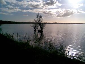 lough neagh 01