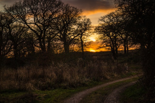 Not a promising start