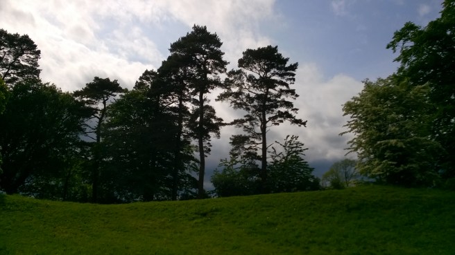 WP_20170523_16_16_18_Pro